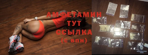 СК Вязьма
