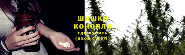 СК Вязьма