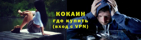 СК Вязьма