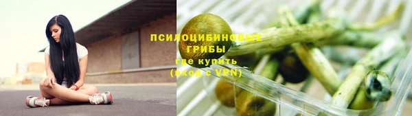 СК Вязьма