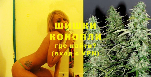 СК Вязьма