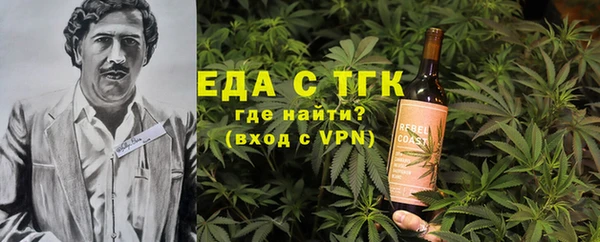 СК Вязьма