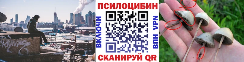 Купить закладки  Бобров  Галлюциногенные грибы MAGIC MUSHROOMS 