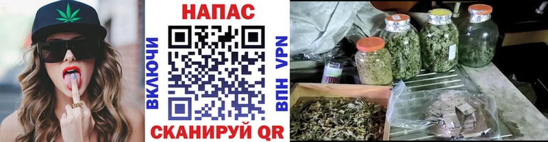 Купить  Бобров  Бошки Шишки план 